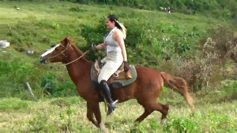 shemale riding hard|riding videos .